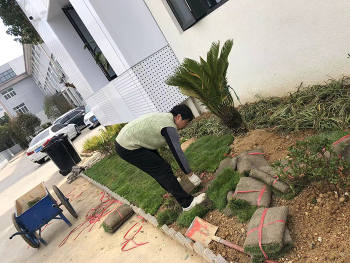 工程案例