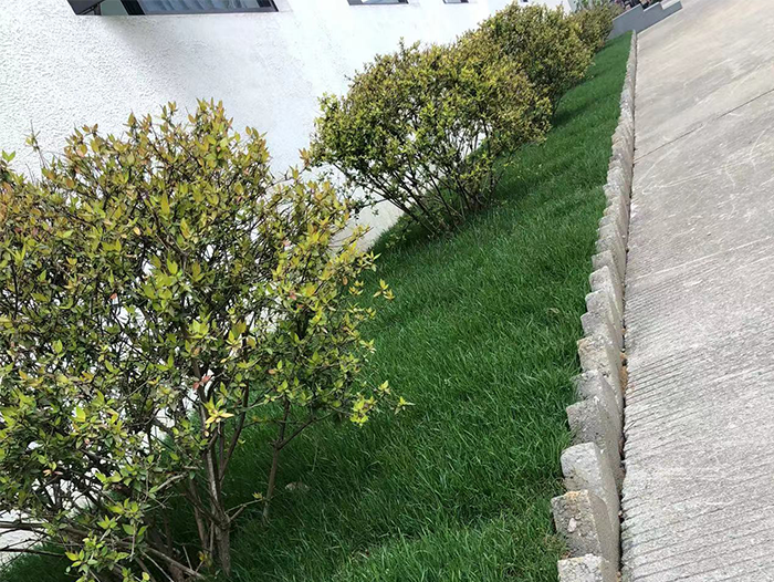 工程案例