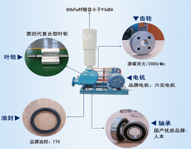 章丘豐源機械羅茨鼓風(fēng)機產(chǎn)品結構說(shuō)明圖 圖片關(guān)鍵詞